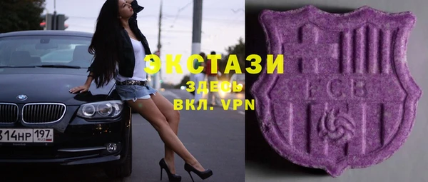 хмурый Няндома