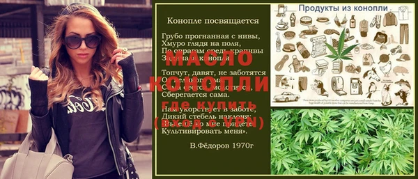 хмурый Няндома