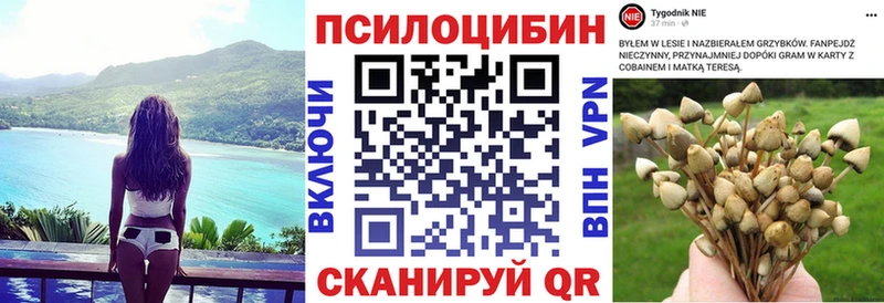 хочу   Бахчисарай  Псилоцибиновые грибы мицелий 